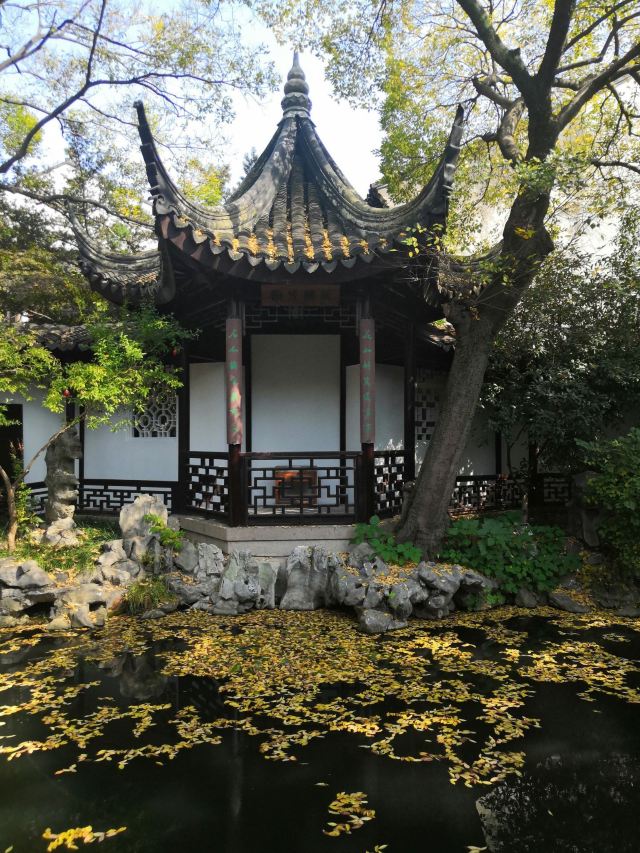 畅园旅行图片 3