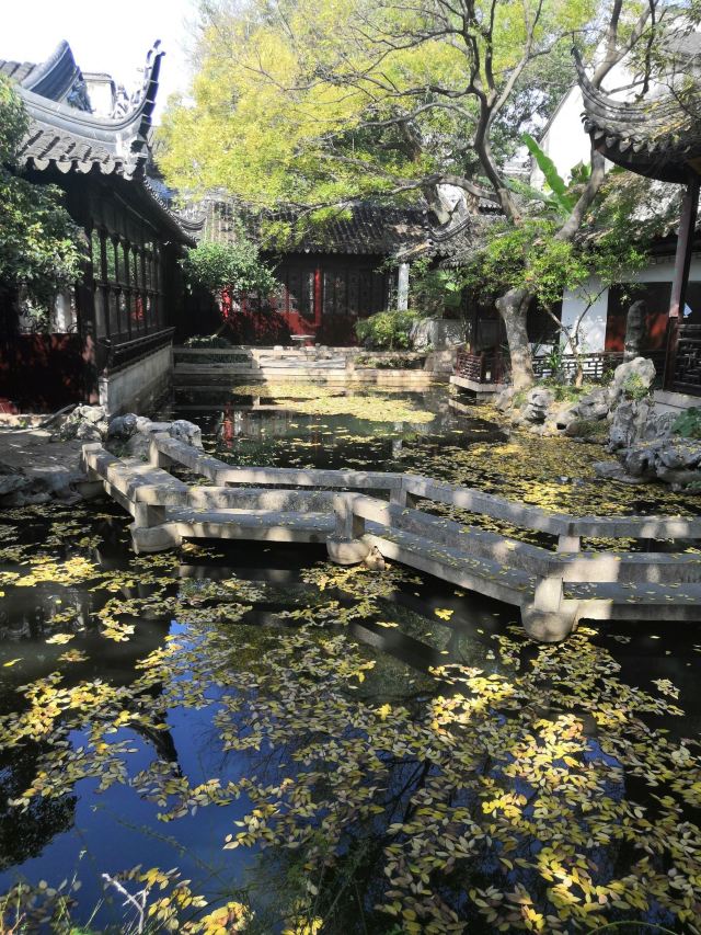 畅园旅行图片 5