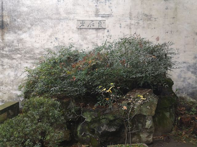 青藤书屋旅行图片 1
