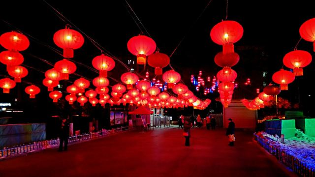 宣化人民公园旅行图片 7
