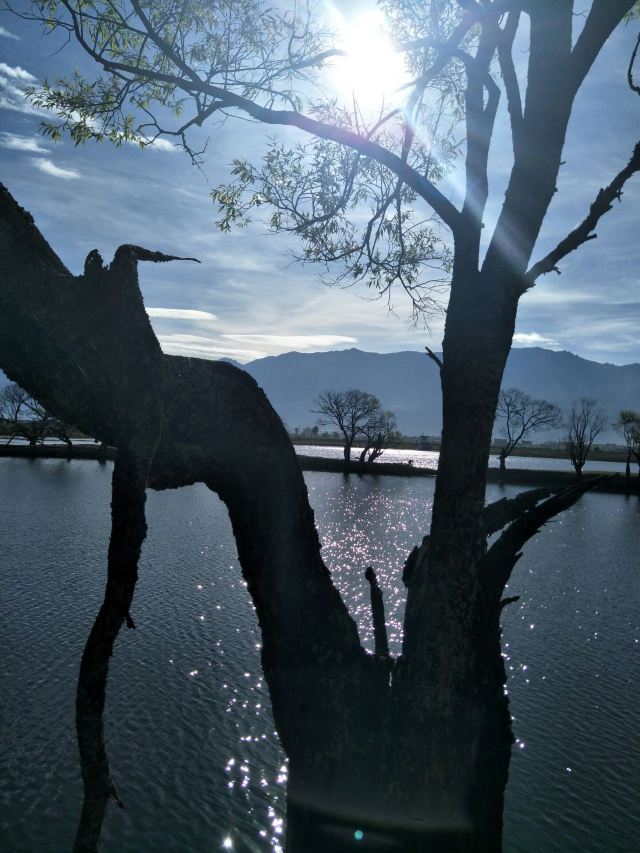 黄龙潭公园旅行图片 3