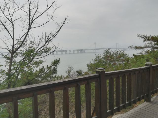 滨海路西段木栈道旅行图片 5