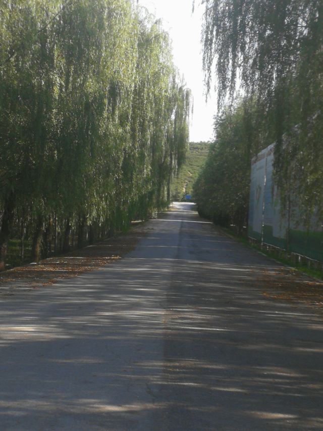 汉哀帝义陵旅行图片 4