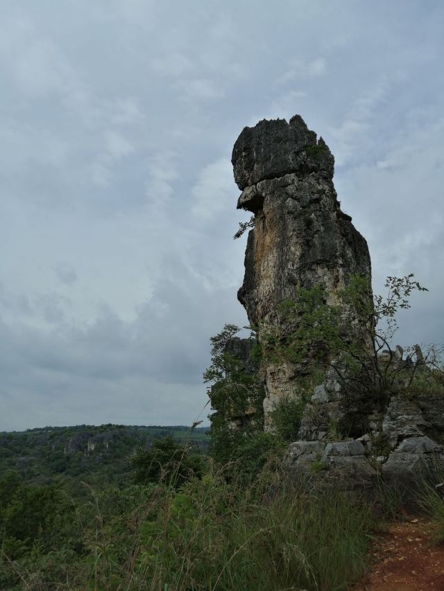 乃古石林风景区旅行图片 5