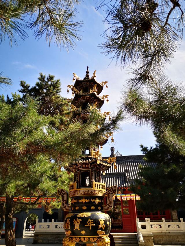 护国般若寺旅行图片 2