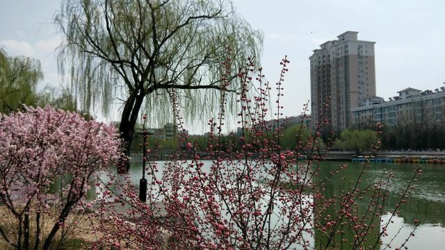 宣化人民公园旅行图片 7