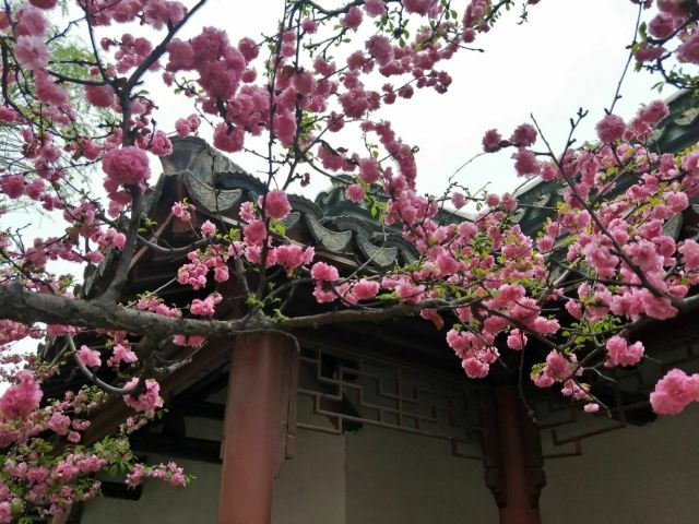 宣化人民公园旅行图片 8