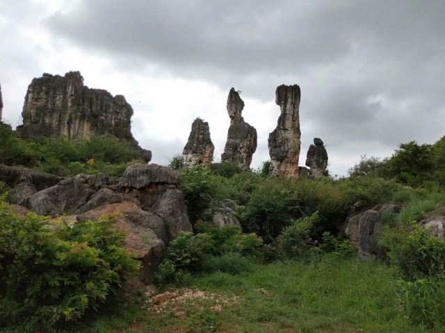 乃古石林风景区旅行图片 3