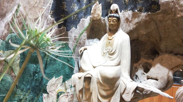 阳朔公园旅行图片 12