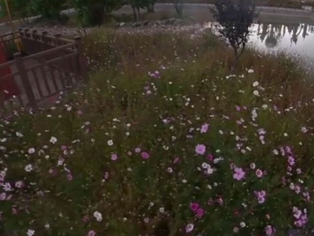 滨河公园旅行图片 2
