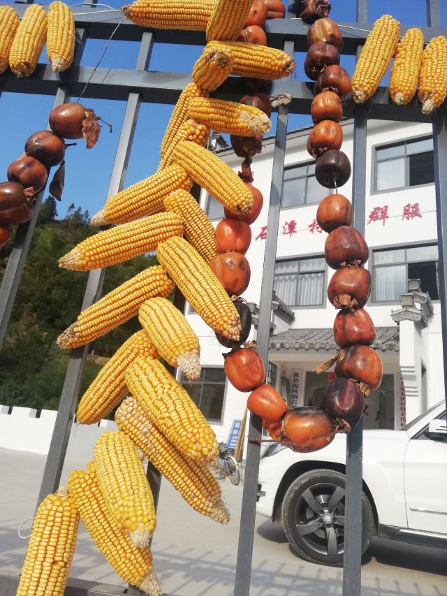石潭村旅行图片 2