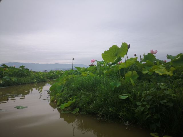 悦莲庄园旅行图片 3