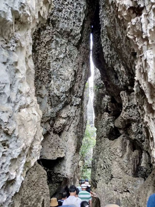乃古石林风景区旅行图片 6