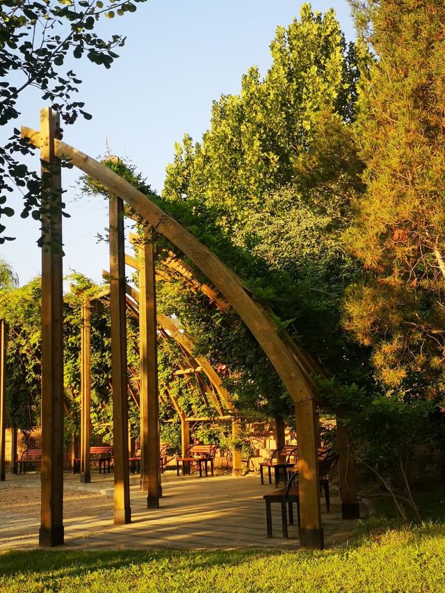 花博会主题公园旅行图片 7