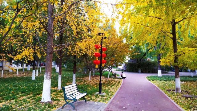 万芳亭公园旅行图片 2