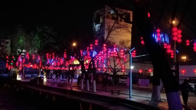 宣化人民公园旅行图片 10