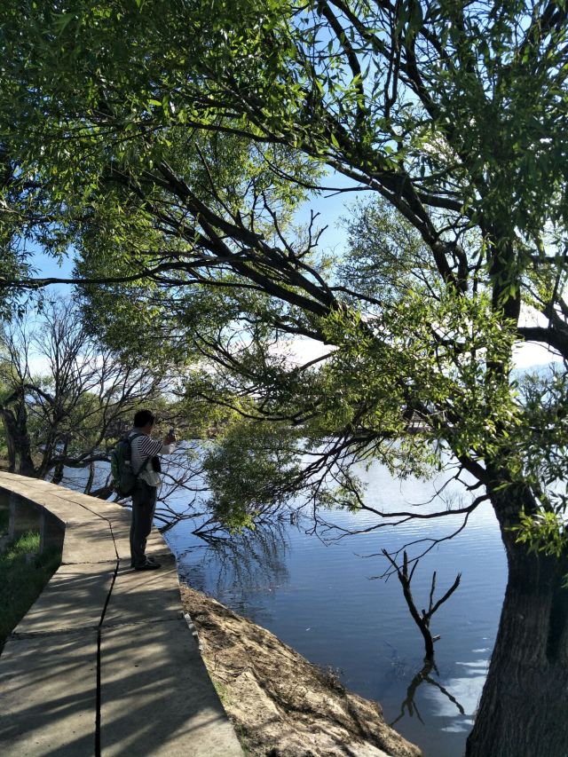 黄龙潭公园旅行图片 8