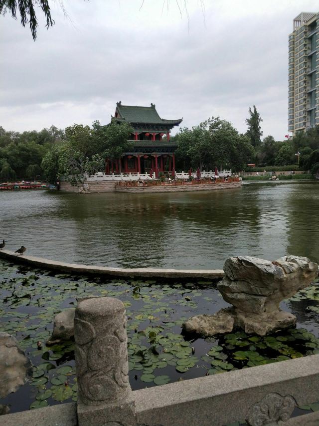 人民公园旅行图片 4
