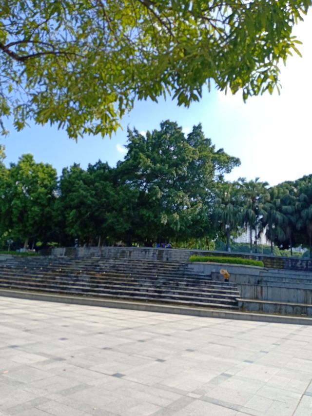 百色人民公园旅行图片 1