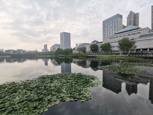 后襄河公园旅行图片 3