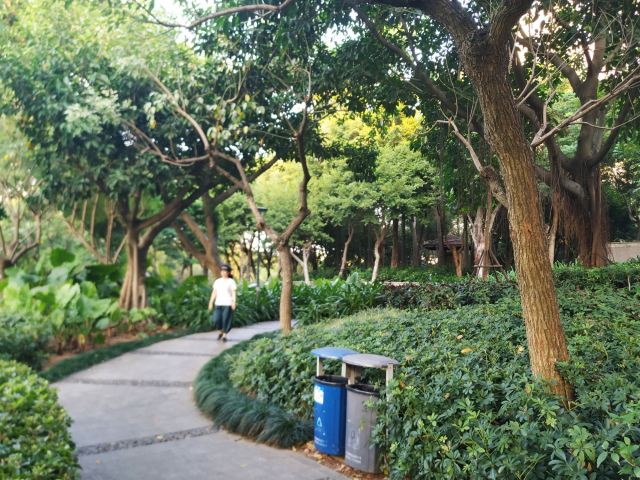 金尚公园旅行图片 3