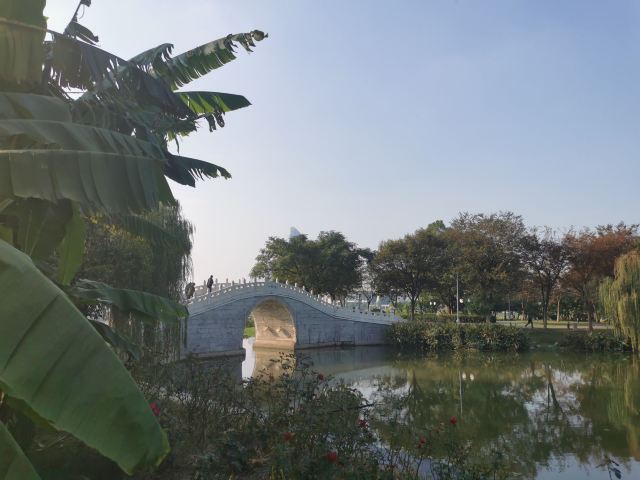 琴台小森林旅行图片 1
