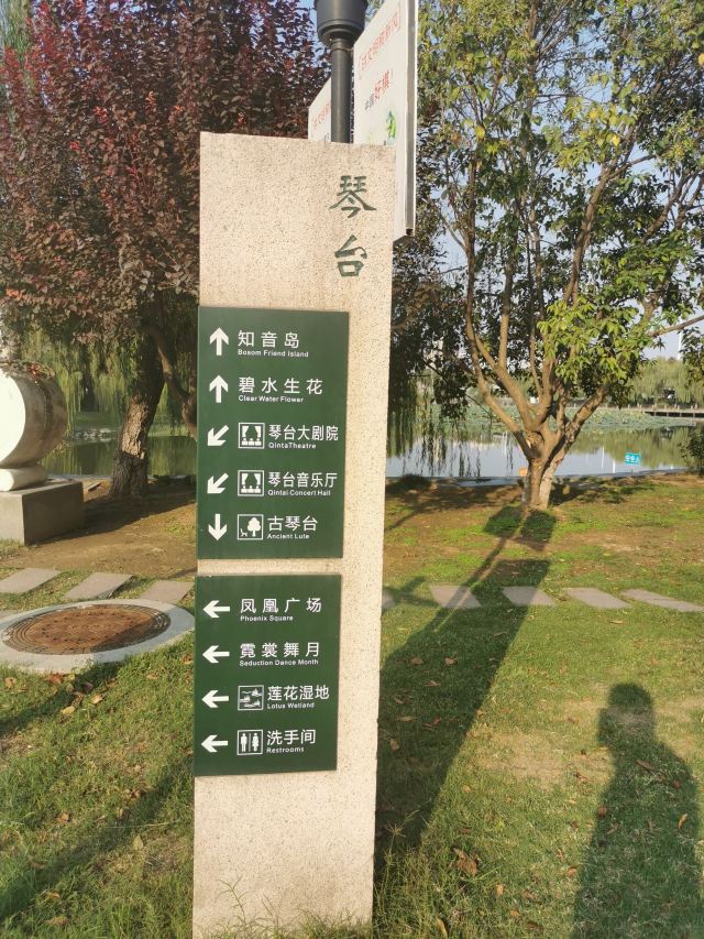 琴台小森林旅行图片 2
