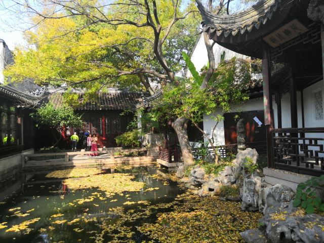 畅园旅行图片 6