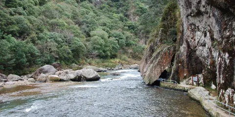 環白水洋步遊道