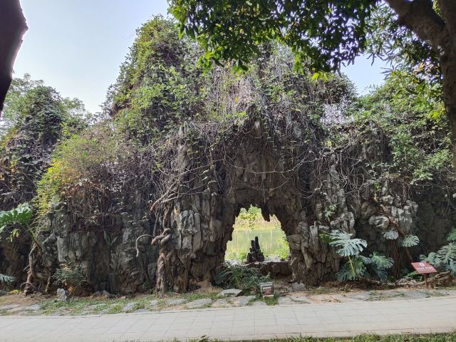 北滘公园旅行图片 2