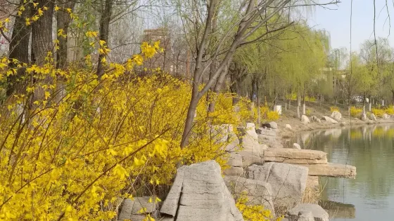 麻灣漁樂休閑公園