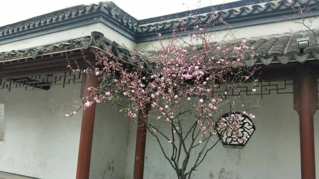 宣化人民公园旅行图片 2