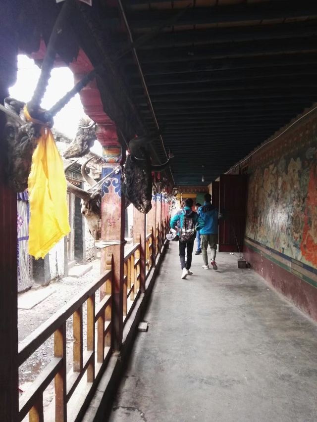楚布寺旅行图片 3