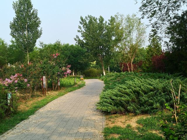 四得公园旅行图片 3