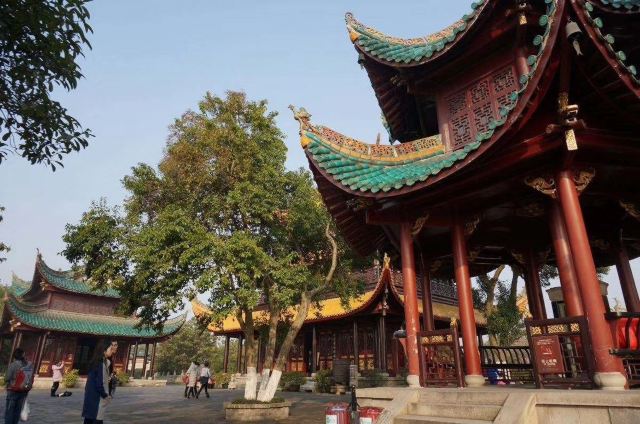 东洞庭湖国家级自然保护区旅行图片 2
