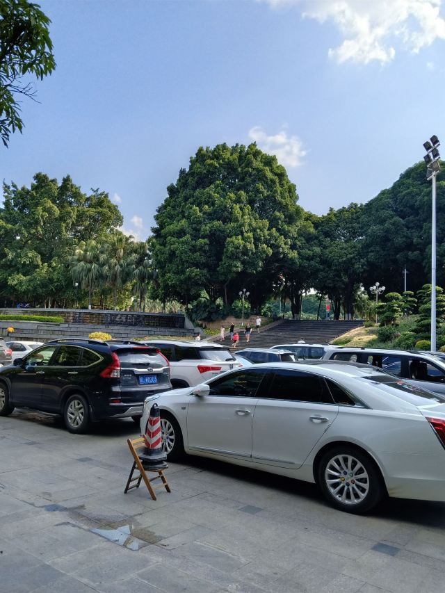 百色人民公园旅行图片 4