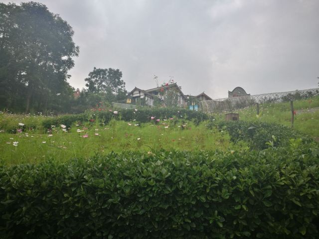 贵州龙架山国家森林公园旅行图片 3