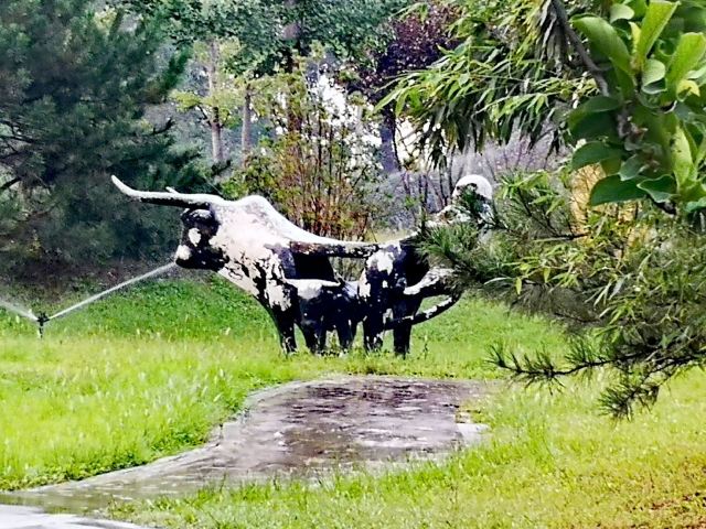 花博会主题公园旅行图片 13