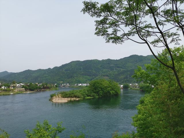 碧湖生态公园旅行图片 3