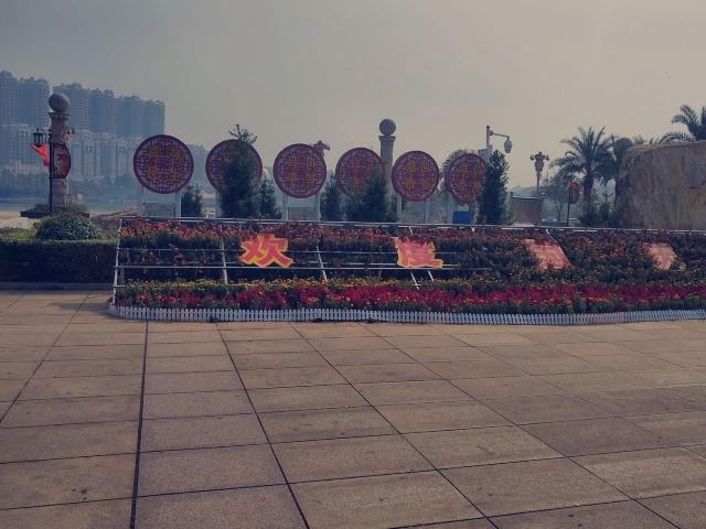 顺湖公园旅行图片 1