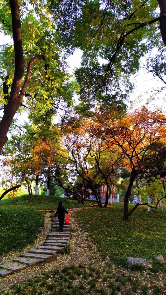 万芳亭公园旅行图片 9