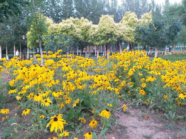 莫子山公园旅行图片 7