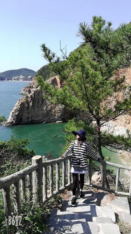 滨海路西段木栈道旅行图片 4