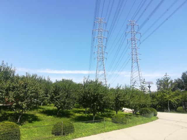 兴隆公园旅行图片 3
