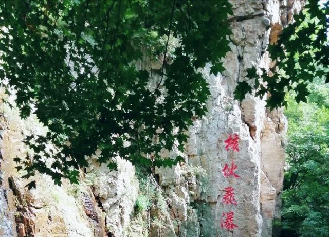 核伙沟森林公园旅行图片 2