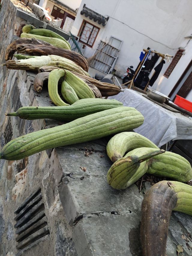 佘村明清代建筑群旅行图片 3
