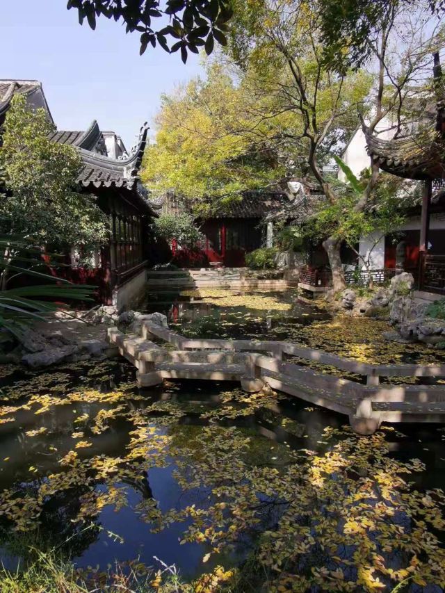 畅园旅行图片 8