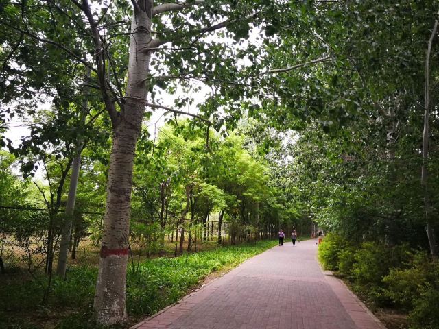 东坝公园旅行图片 2