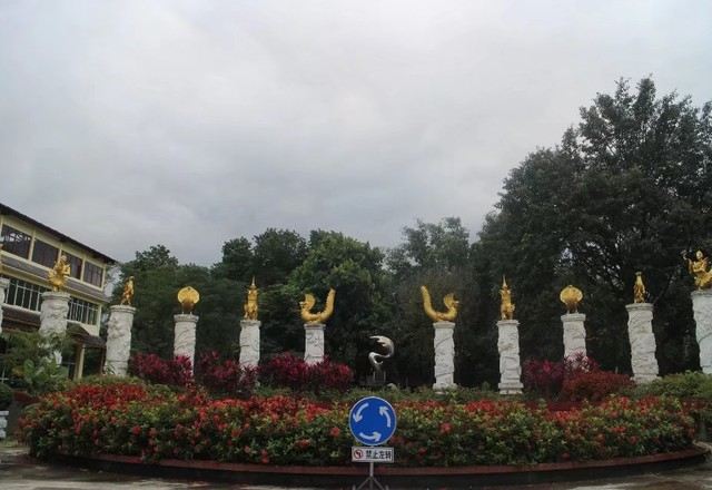 西双版纳南药园旅行图片 1