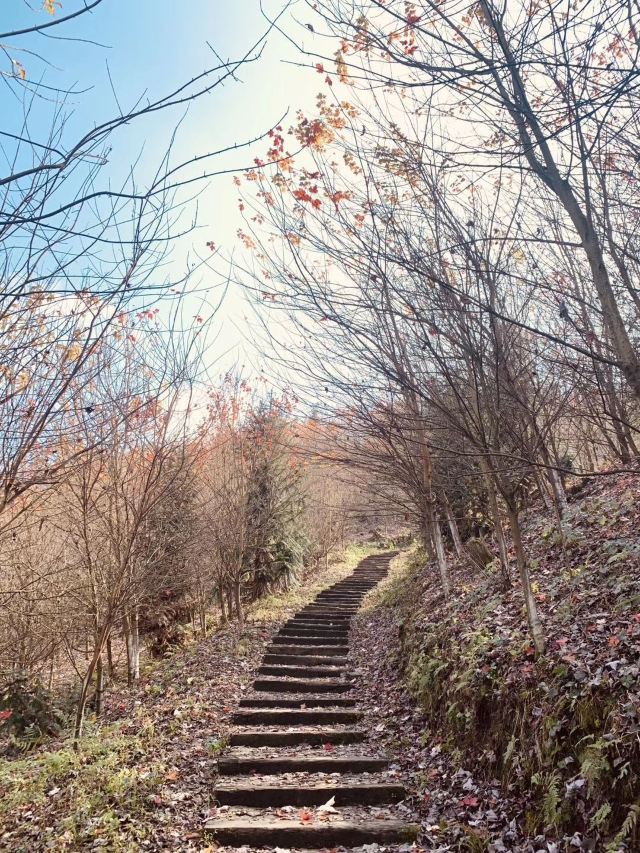 川西红枫岭旅行图片 3
